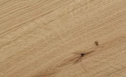 Couchtisch Light Line 6 | Schwarz 10 Couchtisch Light Line 6 | Schwarz -Tische Verkäufe 11225712 9 201902042202