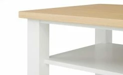 Wohnwert Couchtisch Libro plus -Tische Verkäufe 11325030 3 202101212236