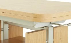 Couchtisch -Tische Verkäufe 11325437 2 202011122249