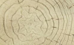 Couchtisch Preveto -Tische Verkäufe 11327813 10 202110271257