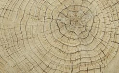 Couchtisch Preveto -Tische Verkäufe 11327813 8 202110271257