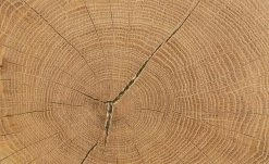 Couchtisch Jalmicco -Tische Verkäufe 11328893 7 202206091236