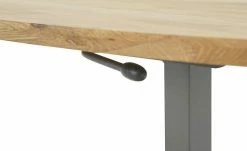 Funktionscouchtisch Wenda -Tische Verkäufe 11329204 9 202209190927