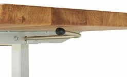 Funktionscouchtisch Nicola 12 Funktionscouchtisch Nicola -Tische Verkäufe 11329217 11 202207191233