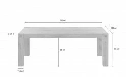 Esstisch Freddy | 200x100 cm 13 Esstisch Freddy | 200x100 cm -Tische Verkäufe 13317763 12 201912092241